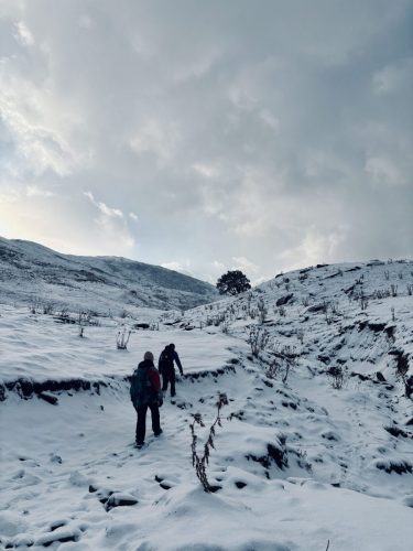 Trek to the Alpine lake
