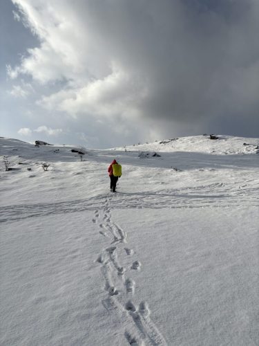 Return to basecamp