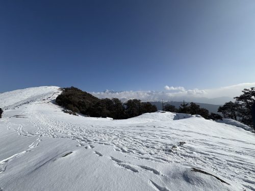 IMG_0470